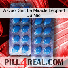 À Quoi Sert Le Miracle Léopard Du Miel viagra2